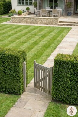 Taxus baccata 'Fastigiata Robusta' 140-160 cm