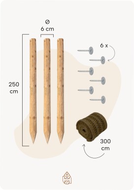 Baumpfahl-Set - 250x6 cm