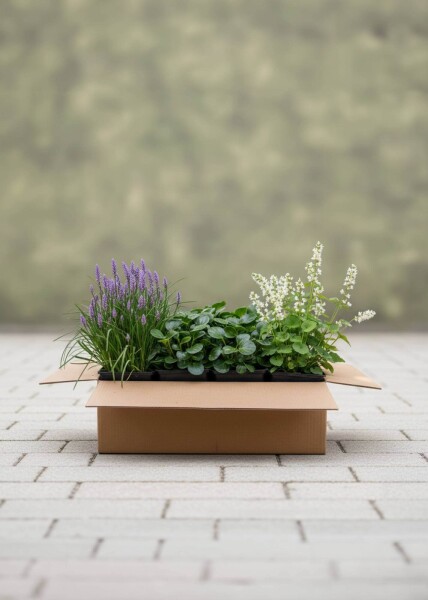 EasyGreen Mix