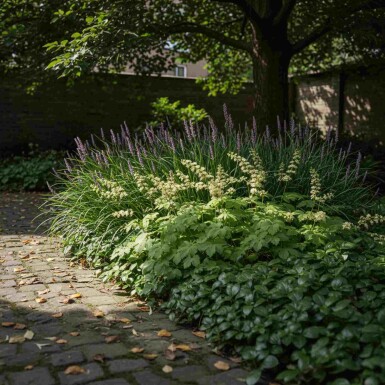 EasyGreen Mix