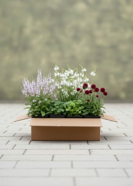 Whispering Flowers
