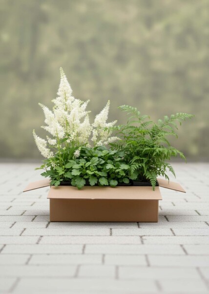Forest Charm Mix