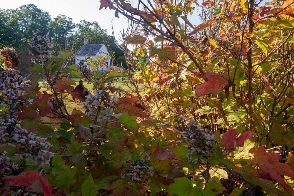 Machen Sie Ihren Garten im Herbst winterfest