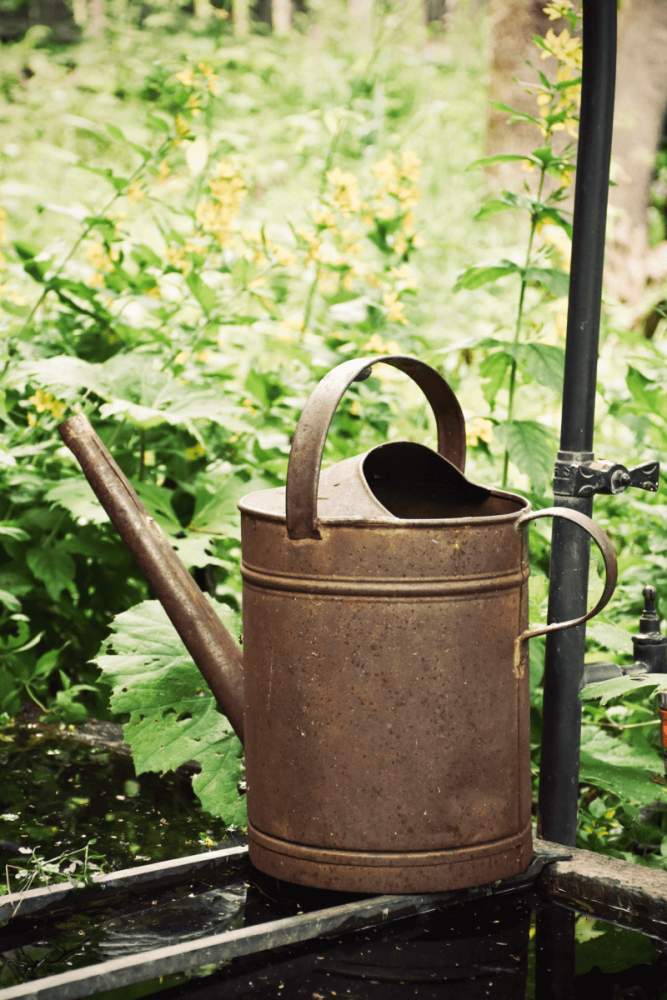 Hoe verduurzaam je je tuin?